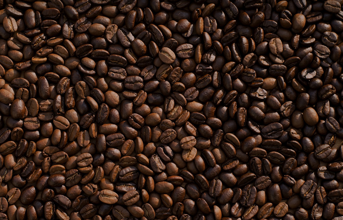Frisch geröstete Kaffeebohnen